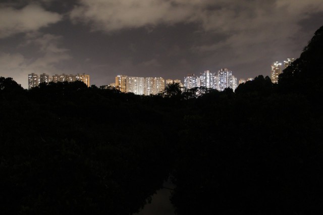 現時天水圍的光源對螢火蟲已有一定影響 (圖片來源 : 香港昆蟲學會)